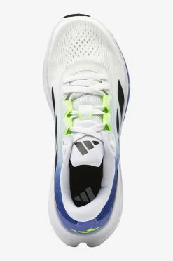 adidas Sport Performance Træningssko|Sko>Løbesko Questar 3 M Ftwwht/Cblack/Cobblu