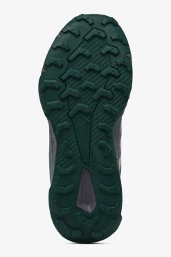 adidas Sport Performance Løbesko Terrex Tracefinder 2 Clima W Previo/Glogry/Aurplu Best