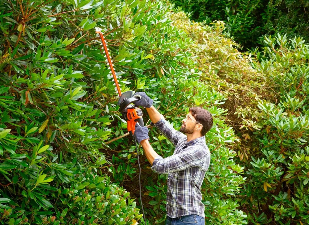 Black & Decker Hækkeklipper 60 cm 600 W med savklinge Online