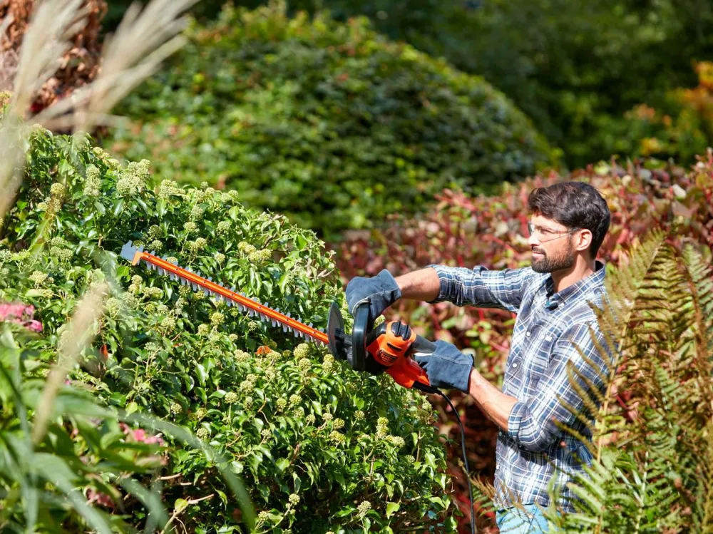 Black & Decker Hækkesaks 500W 55 cm Sværdlængde Clearance