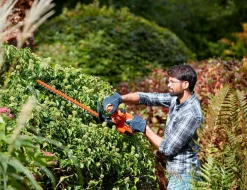 Black & Decker Hækklipper 420w 45cm No color