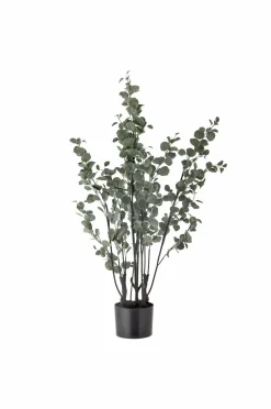 Bloomingville Planter & Blomster>Eucalyptus Plante Grøn