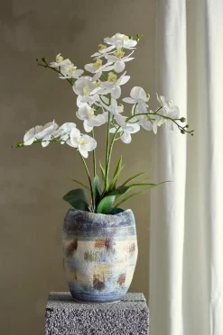 Bloomingville Planter & Blomster>Orchid Plante Grøn