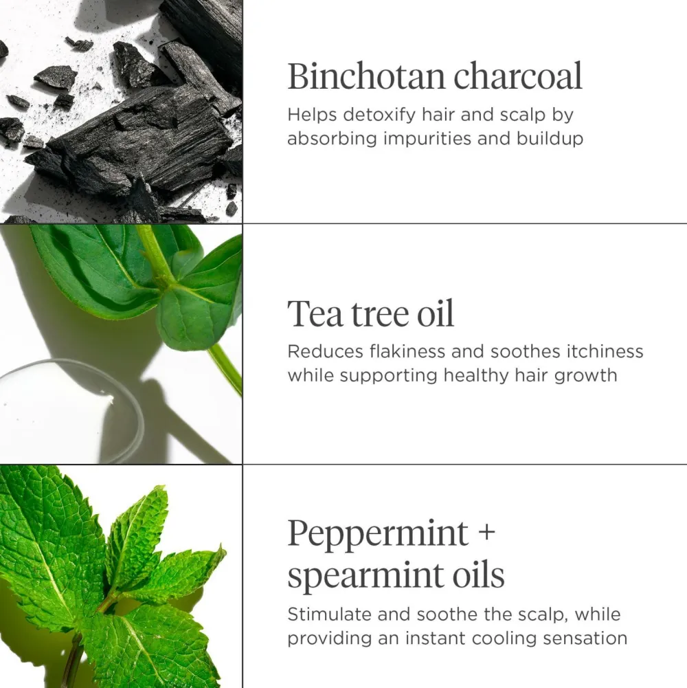 Briogeo Hår|Hår>Scalp REVIVAL™ Charcoal + Tea Tree Cooling Hydration Mask 177Ml No Color