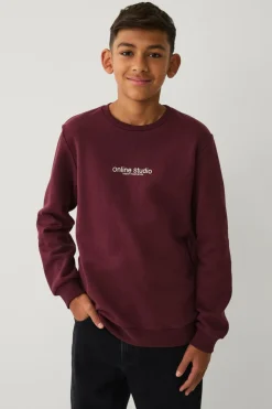 Ellos Sweatshirts & Hoodies>Collection Sweatshirt vinrød