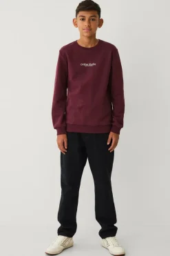 Ellos Sweatshirts & Hoodies>Collection Sweatshirt vinrød