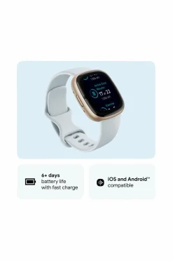 Fitbit Sense 2, Blue Mist/Soft Gold Hot