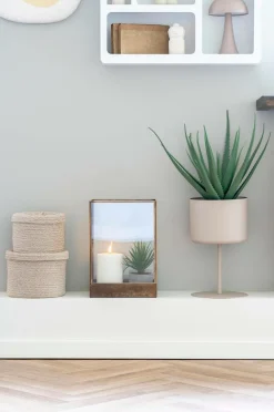 House Nordic Planter & Blomster>Aloe vera Grøn