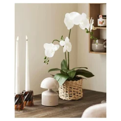 House Nordic Bordlamper><noscript><img width=