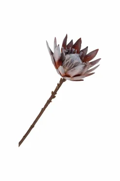 House Nordic Buket King Protea Rosa Mix New