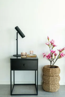 House Nordic Planter & Blomster>Magnoliatræ Grøn, rosa