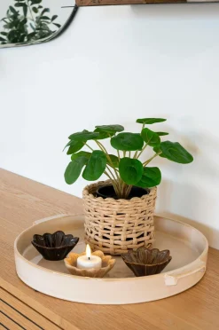 House Nordic Planter & Blomster>Pelia Grøn