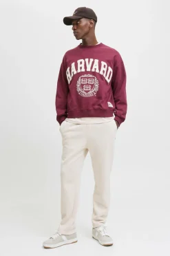 Jack & Jones Sweatpants jpstKane Bradley Uncuffed Moonbeam Hot