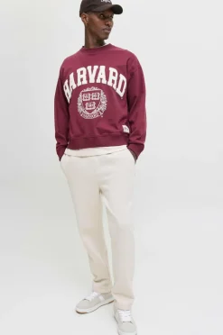 Jack & Jones Sweatpants jpstKane Bradley Uncuffed Moonbeam Hot