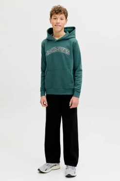 Jack & Jones Junior Hættetrøje jjeCaleb Varsity Sweat Hood Noos JN Atlantic deep Best