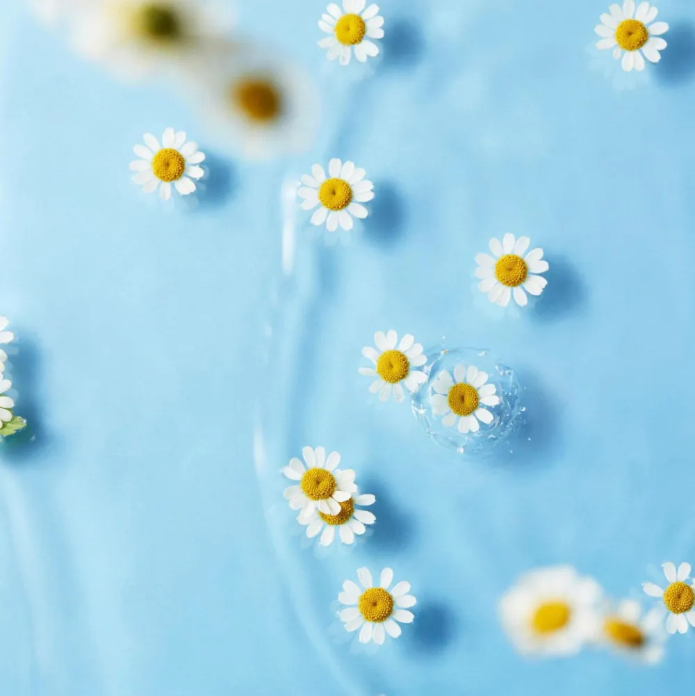 Klairs Ansigtspleje|Ansigtspleje>Midnight Blue Clearing Water Cream 50g