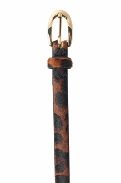 Mango Bælte Belt Nestor Dark brown Best