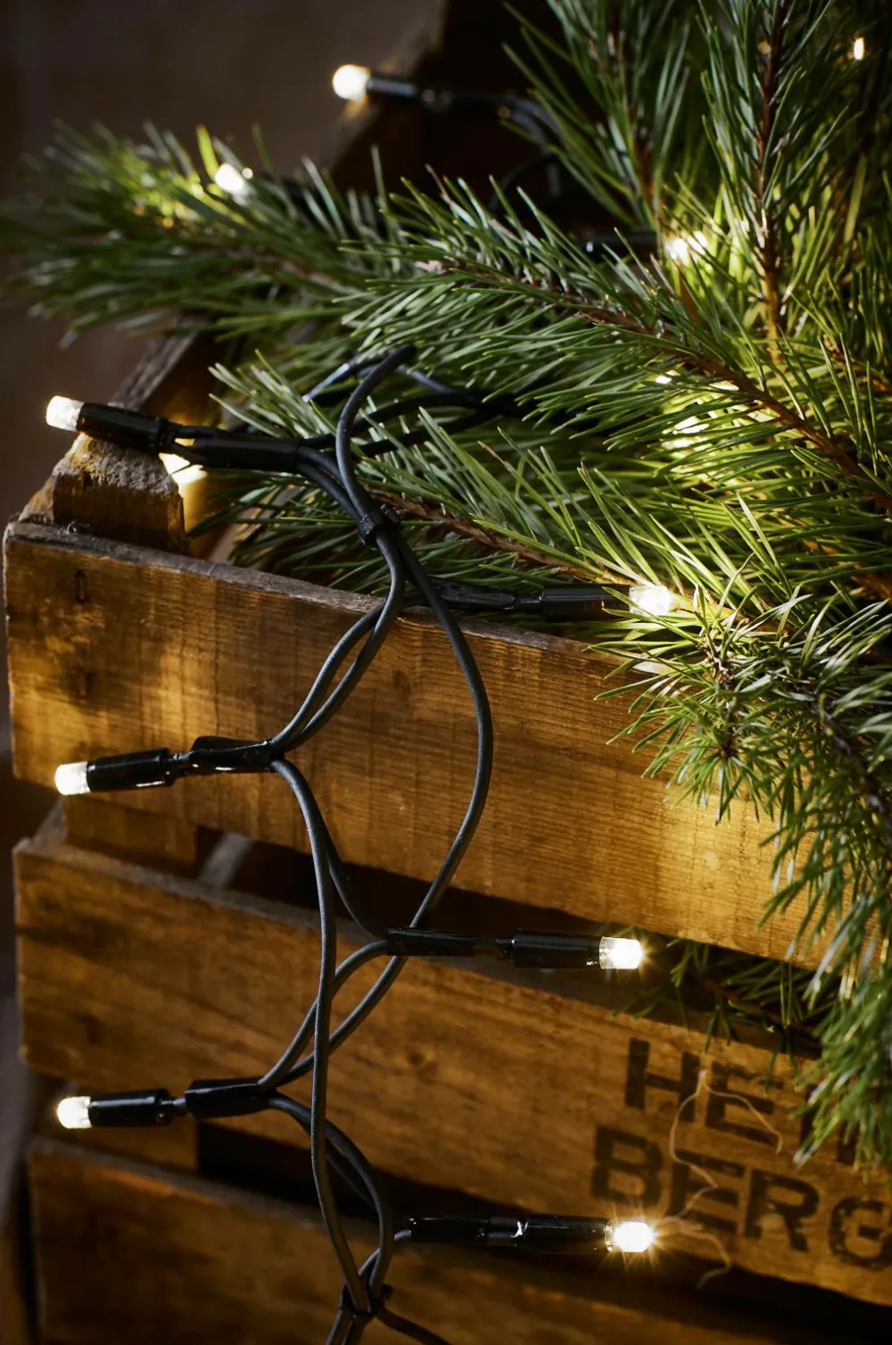 Markslöjd Lyskæde Crab CHRISSLINE 100L LED Orginal Extra Sort mat sort Sale