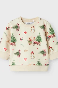 Name it baby Sweatshirt Nbnrenu LS Sweat Bru Peyote melange Online