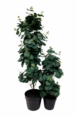 Nordic Furniture Group Planter & Blomster>Kunstplante Viridis Eucalyptus 78 Grøn