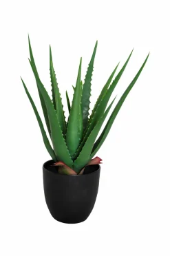 Nordic Furniture Group Kunstplante Viridis Aloe Vera Grøn Best