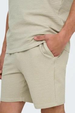ONLY & SONS Shorts Onskian Life Reg Seersucker Shorts Silver lining New