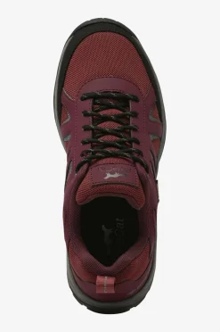 Polecat Walkingsko Sicco Lech GTX Bordo Clearance