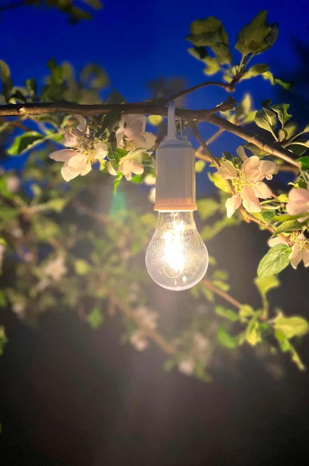 PR Home Rechargeable Light Bulb Hvid Online