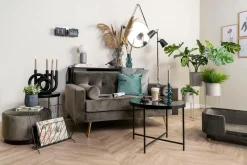 Present Time Potteskjulere><noscript><img width=