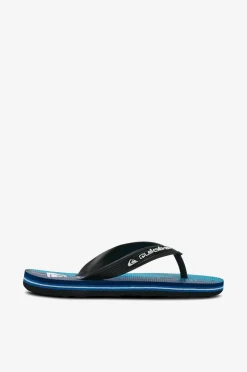 Quiksilver Sandaler>Flip flops Molokai Art 25 Youth Nebulas Blue Wordblock