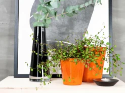 Rotor design Potteskjulere>Potte lille Orange