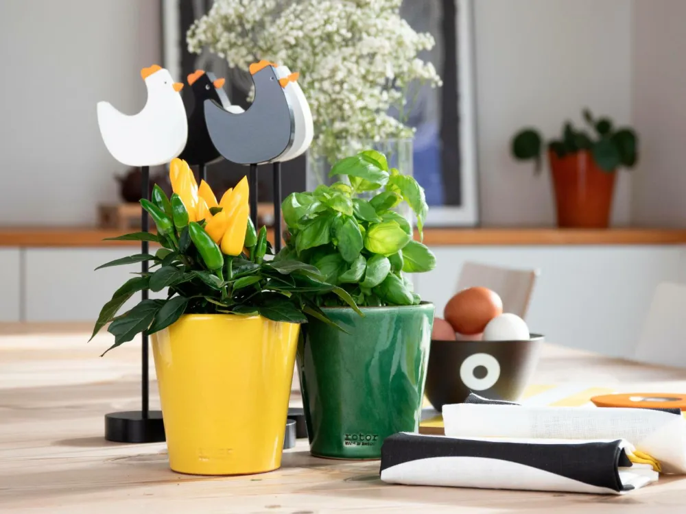 Rotor design Potteskjulere>Potte lille Gul