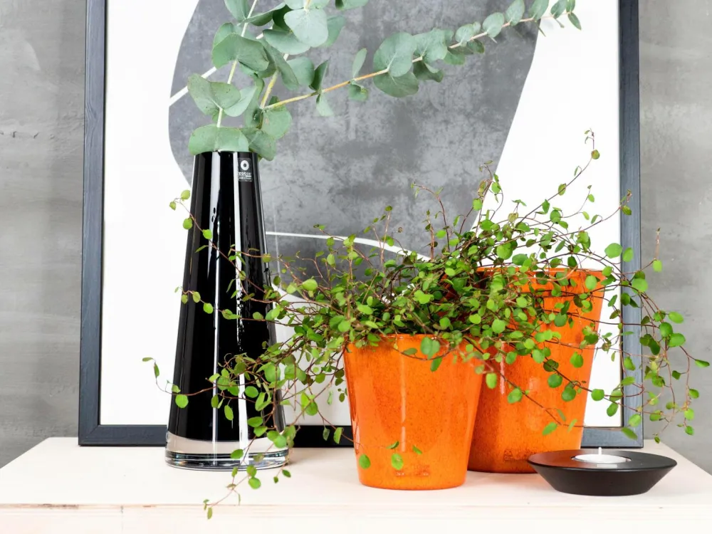 Rotor design Potteskjulere>Stor krukke Orange