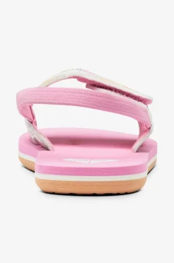 Roxy Sandaler><noscript><img width=