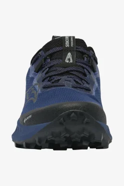 Saucony Trail løbesko Peregrine 15 GTX Regal/black Outlet