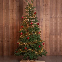 Star Trading Havepynt>Juletræ Edane 210 cm Grøn