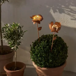 Star Trading Solcelledekoration Oxida Blomst 2-p Brun Sale
