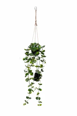 Star Trading Planter & Blomster>Træ Laos 35 Grøn