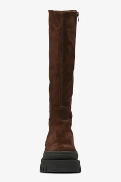 Steve Madden Støvler Chipp Dark brown Best