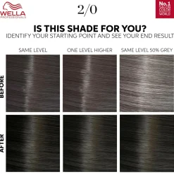 Wella Professionals Color Touch Pure Naturals 130 ml Black 2/0