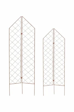 Wikholm Form Plantesupplement Roya S/2 Rost Discount