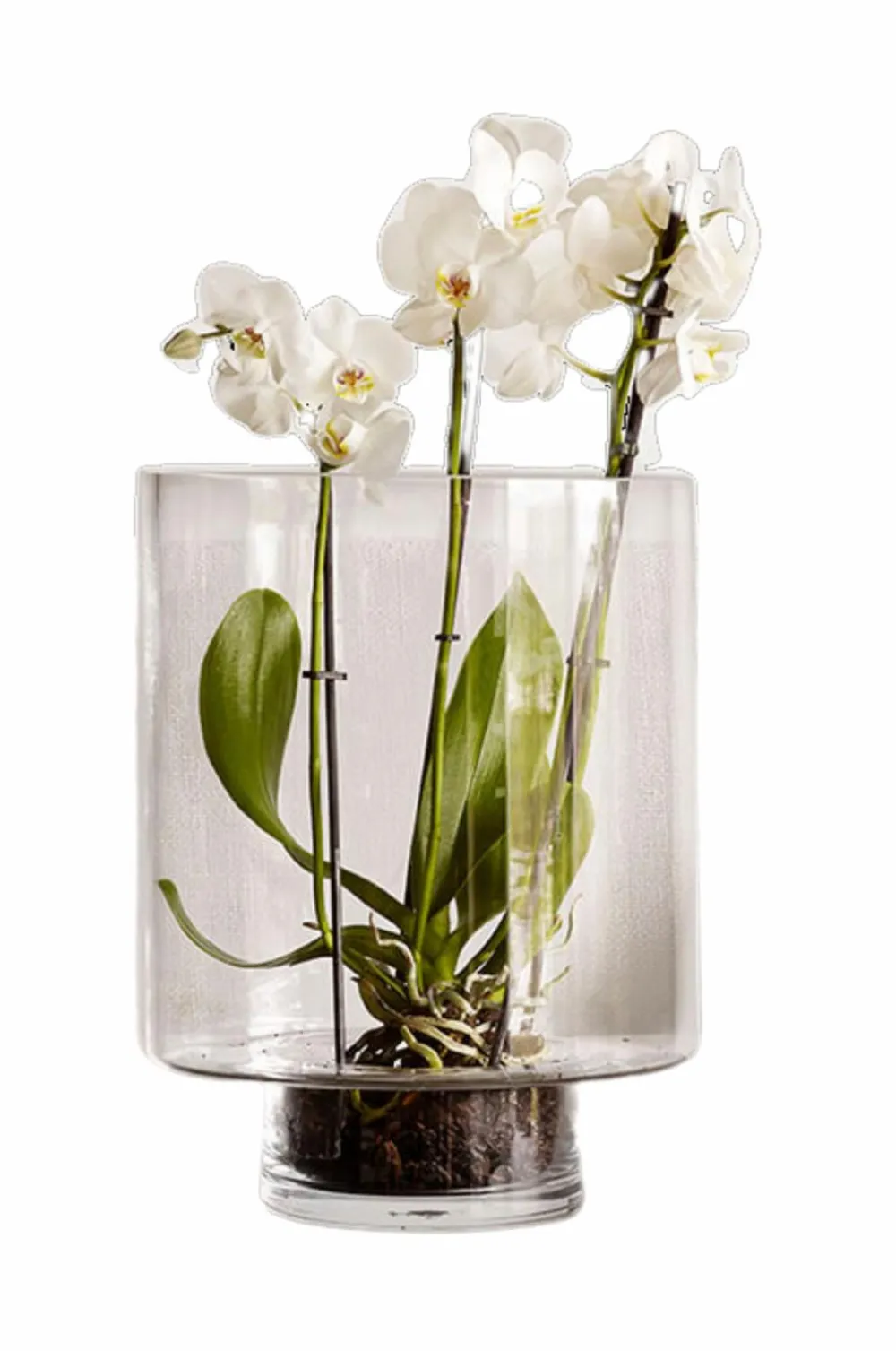 Zelected by Houze Vaser>Vase Optic Transparent